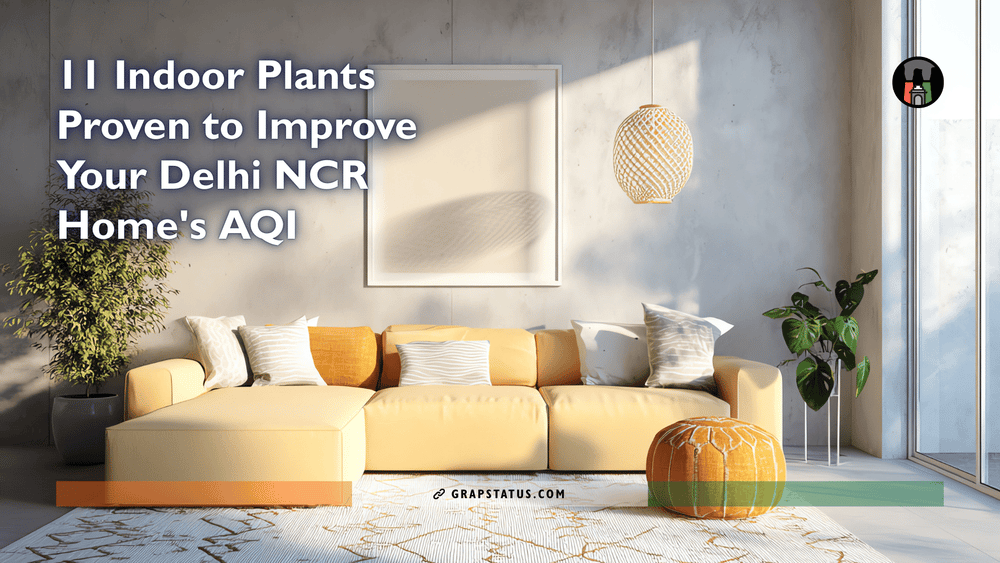 11 Best Air Purifying Indoor Plants